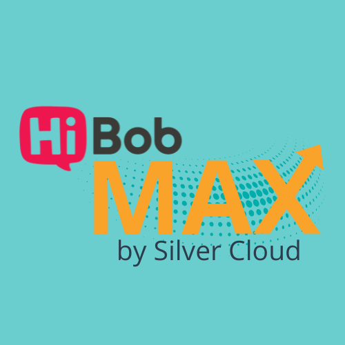 HiBob MAX by Silver Cloud